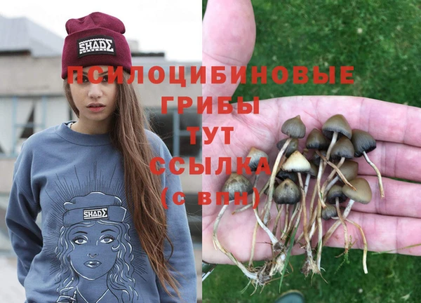 крисы Абдулино
