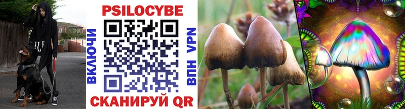 где можно купить наркотик  Брюховецкая  Псилоцибиновые грибы Psilocybine cubensis 